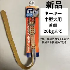 Item thumbnail for item 89d80587-a5f3-4720-9a64-671069478d07