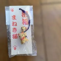 Item thumbnail for item 78e14d07-8aa8-4898-9733-a4882204c79a