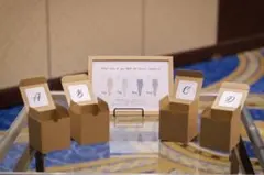 Item thumbnail for item 76d361ee-137e-4c46-a699-77087e03d1e0