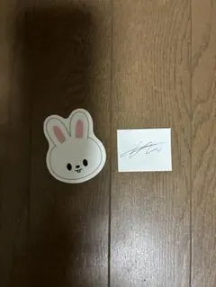 スキズ ペンミ 落下物 SKZOO 　　 　　　リービット　リノ