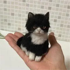 ハチワレ 子猫ちゃん sサイズ グラスアイ