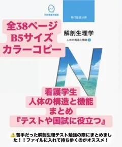 【考試複習】解剖生理學 總結 護理學生 國考 人體結構與功能 38頁