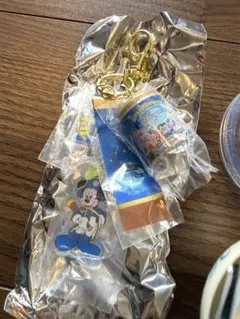 東京ディズニーリゾート カプセルトイ 키체인