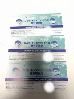 2026年最新】たんばらリフト券の人気アイテム - メルカリ