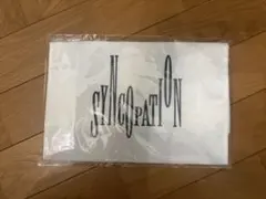 i-dle WORLD TOUR 2026 Syncopation 不織布バッグ