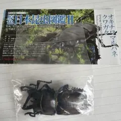 ユージン　原色日本昆虫図鑑II オキナワマルバネクワガタ　フィギュア