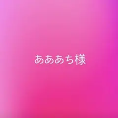 あああち様 リクエスト 2点 まとめ商品