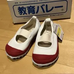 新品未使用　教育バレーDX