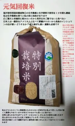 私といるとなぜか元気に？ ７年産コシヒカリ 玄米10 kg 特栽① 農薬等不使用 農業は大変な時代に！ 7年産コシヒカリ 発芽用玄米10kg 特別栽培①