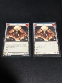 2025年最新】flesh and blood 日本語の人気アイテム - メルカリ