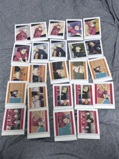 ハイキュー!! ぱしゃこれ 全24枚