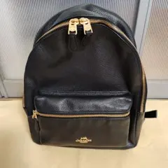 Item thumbnail for item 98b579be-dade-49c8-88fa-00817db666b4