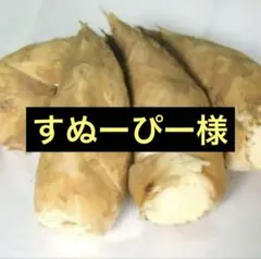 すぬーぴー様　京都山城産　朝掘り筍小さめ3kg