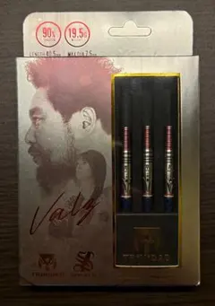 ヴァルメス エスダーツ限定モデル 2BA 中古バレル サングリアル