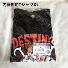 【最終価格】 新日本プロレス ロスインゴ 内藤哲也 プラクティスシャツ (L) 内藤哲也 ロスインゴ 新日本プロレス グラフィックTシャツ XXL - メルカリ