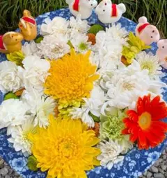 Faerie Health様 リクエスト 3点 まとめ商品