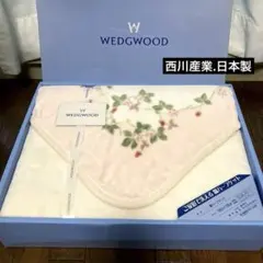 2026年最新】綿毛布ワイルドストロベリーの人気アイテム - メルカリ