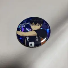 2025年最新】影山飛雄缶バッジの人気アイテム - メルカリ