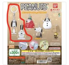 ピーナッツ　めじるしアクセサリー