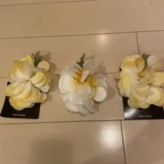 Item thumbnail for item 5ae3bf91-2405-4d47-8fce-db4a58e2b416