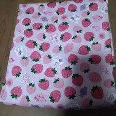 あにこー様専用ページ