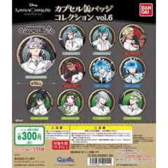 EB❇ ツイステッドワンダーランド 缶バッジ vol, 6 17個 セット