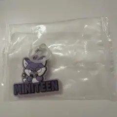 MINITEEN ウォヌ - メルカリ