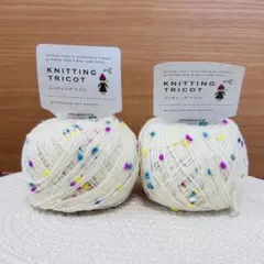KNITTING TRICOT フランボワーズ_wool 毛糸