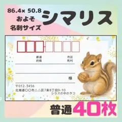 NEW【シマリス】宛名シール　差出人シール　普通サイズ　40枚　シンプル　動物