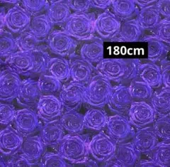 処分　コットン生地 綿100% 幅約110×180cm