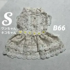 B66 犬猫用花柄ドレス マーガレットのレース付きsサイズ