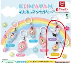 2026年最新】若槻千夏 クマタンの人気アイテム - メルカリ