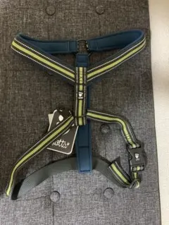 Item thumbnail for item 7e9daba4-ab4a-4a6c-9bdf-280028ba619b