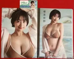 榎原依那 ローソン限定 漫画アクション クリアファイル 2種 付録 非売品!!