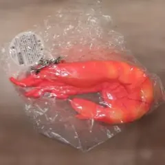 Item thumbnail for item 1bda51af-fb20-43a3-a6e1-47ab8efafd0b