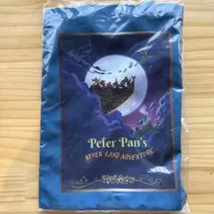 【新品】ディズニーシー　ファンタジースプリングス　トートバッグ ピーターパン