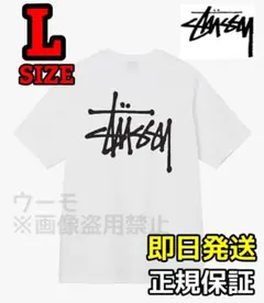 ステューシー BASIC ベーシック Tシャツ 半袖 ホワイト L