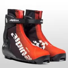 2026年最新】クロスカントリースキー アルピナ Alpinaの人気アイテム