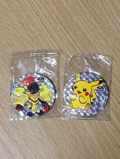 【ポケモン】ピカチュウ & グレンアルマ マグネット