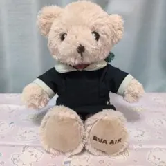 新品 【限定モデル】エバー航空 エバーベアー テディベア evaair