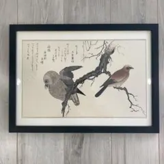 金澤隆 日本画 夜の帳 フクロウ インテリア 額縁 絵画 - メルカリ