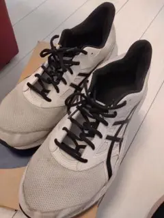 asics スニーカー ランニングシューズ 31センチ
