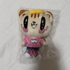 ジェ猫 ぬいぐるみ small 小森隼