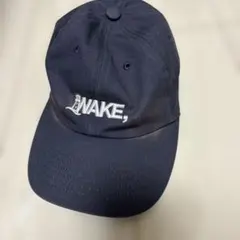 Item thumbnail for item f0289558-ec8a-4706-8539-689097f92f5d