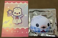 スイパラ 教育番組 コーン