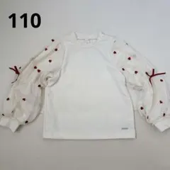 Item thumbnail for item 07f017f4-2f3d-4b33-b2c7-d408557dc923