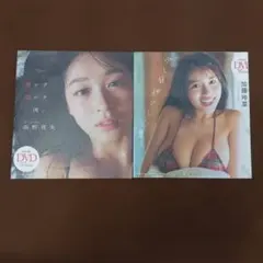 プレイボーイ付録 DVD 髙野真央 加藤玲菜