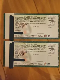 와일드 번치 페스트 2025 8/22 (금요일) 1일 패스 2장 세트