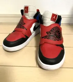 スカイジョーダン