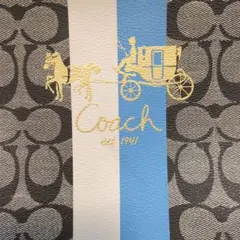 Coach ショルダーバッグ 10668-13193 グレー/青/白